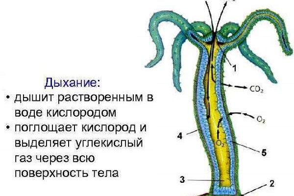 Кракен сайт маркетплейс ссылка