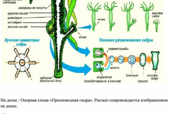 Kraken зеркало krakentor site