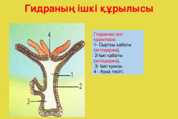 Кракен нарка шоп